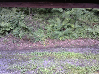 長野県菅平高原 ゆたか山荘 南側 2025/08/08 13:30