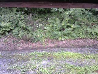 長野県菅平高原 ゆたか山荘 南側 2025/08/08 13:45