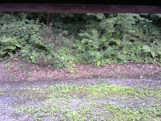 長野県菅平高原 ゆたか山荘 南側 2025/08/08 14:00