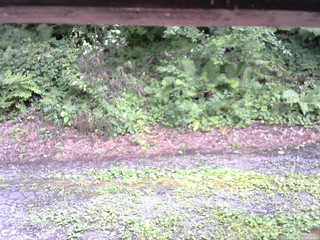 長野県菅平高原 ゆたか山荘 南側 2025/08/08 14:15