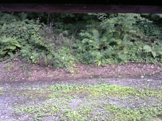 長野県菅平高原 ゆたか山荘 南側 2025/08/08 14:30