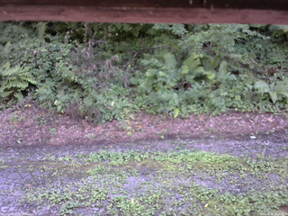 長野県菅平高原 ゆたか山荘 南側 2025/08/08 15:30