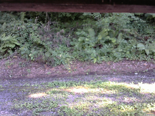 長野県菅平高原 ゆたか山荘 南側 2025/08/08 16:00