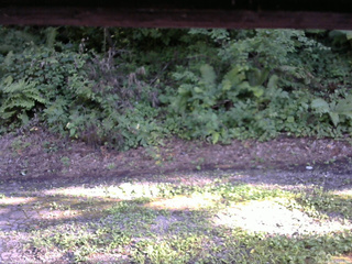 長野県菅平高原 ゆたか山荘 南側 2025/08/08 16:15