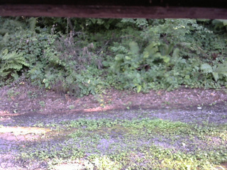 長野県菅平高原 ゆたか山荘 南側 2025/08/08 16:30