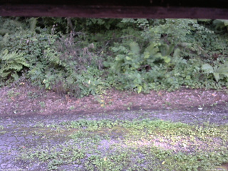 長野県菅平高原 ゆたか山荘 南側 2025/08/08 16:45