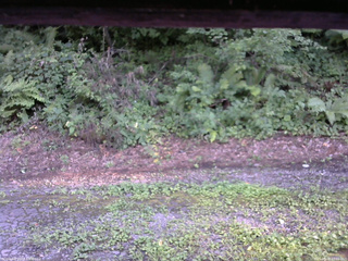 長野県菅平高原 ゆたか山荘 南側 2025/08/08 17:00