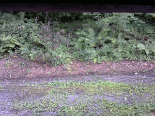 長野県菅平高原 ゆたか山荘 南側 2025/08/08 17:15