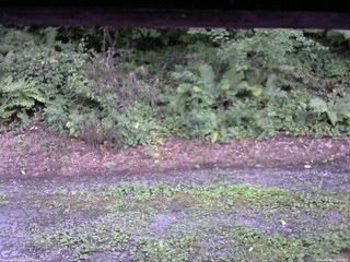 長野県菅平高原 ゆたか山荘 南側 2025/08/08 17:30