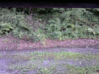 長野県菅平高原 ゆたか山荘 南側 2025/08/08 17:45