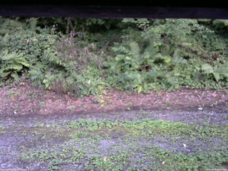 長野県菅平高原 ゆたか山荘 南側 2025/08/08 18:00