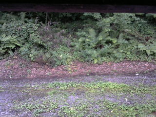 長野県菅平高原 ゆたか山荘 南側 2025/08/08 18:30