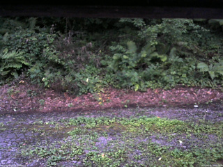 長野県菅平高原 ゆたか山荘 南側 2025/08/08 18:45