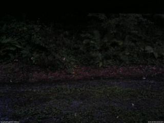 長野県菅平高原 ゆたか山荘 南側 2025/08/08 19:00