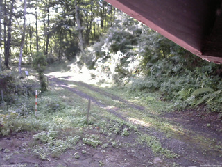 長野県菅平高原 ゆたか山荘 東側(坂下) 2025/08/08 07:00