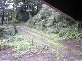 長野県菅平高原 ゆたか山荘 東側(坂下) 2025/08/08 07:15