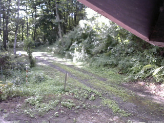 長野県菅平高原 ゆたか山荘 東側(坂下) 2025/08/08 07:30