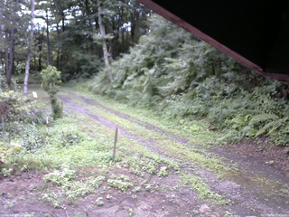 長野県菅平高原 ゆたか山荘 東側(坂下) 2025/08/08 07:45
