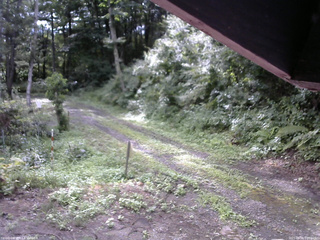 長野県菅平高原 ゆたか山荘 東側(坂下) 2025/08/08 08:00