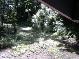 長野県菅平高原 ゆたか山荘 東側(坂下) 2025/08/08 08:30