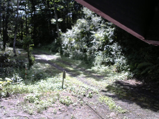 長野県菅平高原 ゆたか山荘 東側(坂下) 2025/08/08 08:45