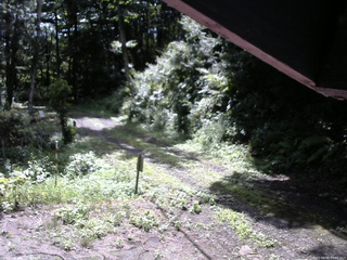 長野県菅平高原 ゆたか山荘 東側(坂下) 2025/08/08 09:00