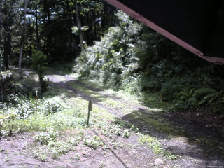 長野県菅平高原 ゆたか山荘 東側(坂下) 2025/08/08 09:15