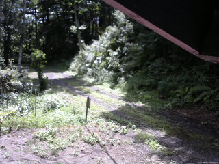 長野県菅平高原 ゆたか山荘 東側(坂下) 2025/08/08 09:30