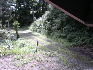 長野県菅平高原 ゆたか山荘 東側(坂下) 2025/08/08 09:45