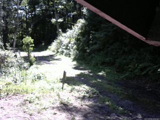 長野県菅平高原 ゆたか山荘 東側(坂下) 2025/08/08 10:00