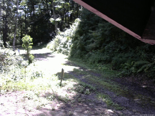 長野県菅平高原 ゆたか山荘 東側(坂下) 2025/08/08 10:15