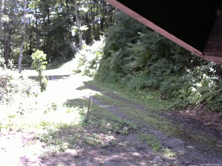 長野県菅平高原 ゆたか山荘 東側(坂下) 2025/08/08 10:45