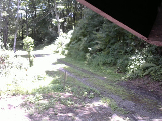 長野県菅平高原 ゆたか山荘 東側(坂下) 2025/08/08 11:00