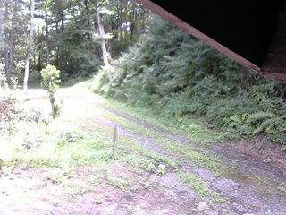 長野県菅平高原 ゆたか山荘 東側(坂下) 2025/08/08 11:30