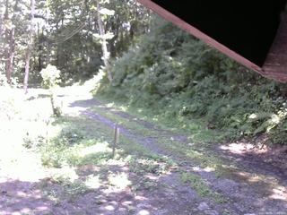 長野県菅平高原 ゆたか山荘 東側(坂下) 2025/08/08 12:00