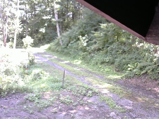 長野県菅平高原 ゆたか山荘 東側(坂下) 2025/08/08 12:45