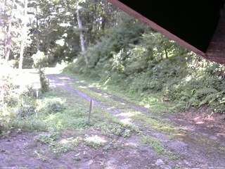 長野県菅平高原 ゆたか山荘 東側(坂下) 2025/08/08 13:00