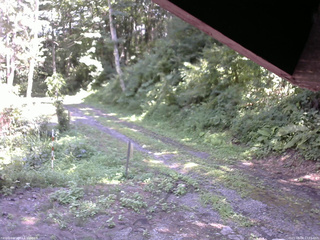 長野県菅平高原 ゆたか山荘 東側(坂下) 2025/08/08 13:15