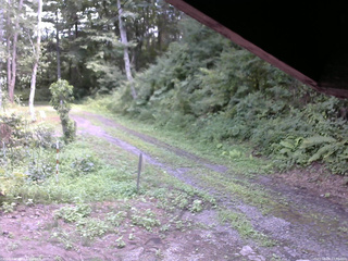 長野県菅平高原 ゆたか山荘 東側(坂下) 2025/08/08 13:30