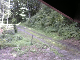 長野県菅平高原 ゆたか山荘 東側(坂下) 2025/08/08 13:45