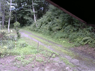 長野県菅平高原 ゆたか山荘 東側(坂下) 2025/08/08 14:00