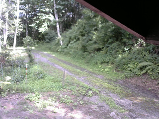 長野県菅平高原 ゆたか山荘 東側(坂下) 2025/08/08 14:15