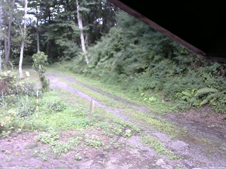 長野県菅平高原 ゆたか山荘 東側(坂下) 2025/08/08 14:30