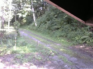 長野県菅平高原 ゆたか山荘 東側(坂下) 2025/08/08 14:45