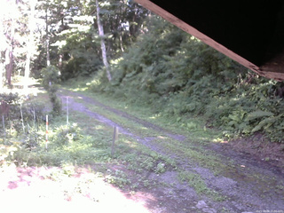 長野県菅平高原 ゆたか山荘 東側(坂下) 2025/08/08 15:00