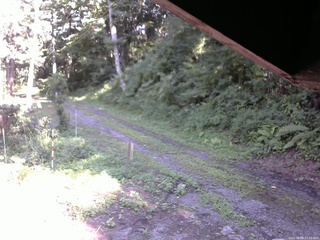 長野県菅平高原 ゆたか山荘 東側(坂下) 2025/08/08 15:15