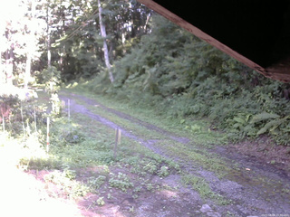 長野県菅平高原 ゆたか山荘 東側(坂下) 2025/08/08 15:30