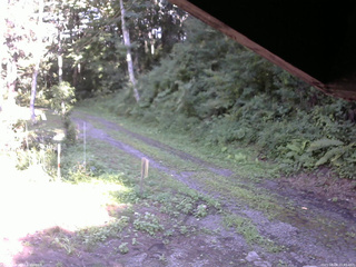 長野県菅平高原 ゆたか山荘 東側(坂下) 2025/08/08 15:45