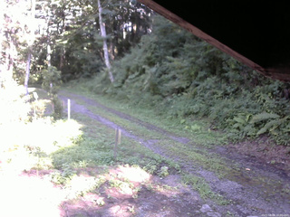 長野県菅平高原 ゆたか山荘 東側(坂下) 2025/08/08 16:00