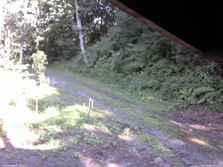 長野県菅平高原 ゆたか山荘 東側(坂下) 2025/08/08 16:15